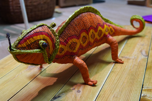 Caméléon • Grand format