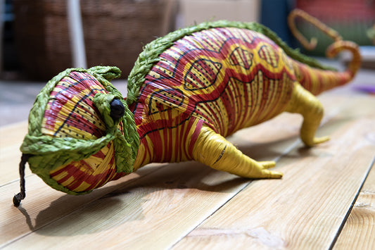 Caméléon • Format moyen